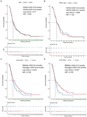 Characteristic analysis and identification of novel molecular biomarkers in elderly glioblastoma patients using the 2021 WHO Classification of Central Nervous System Tumors